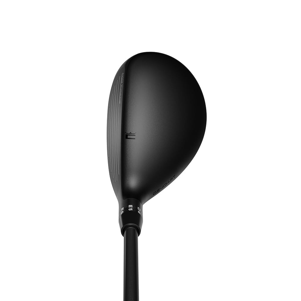 コブラ DS-ADAPT ユーティリティ LIN-Q for Cobra 右利き用 番手5番 FLEX-SR