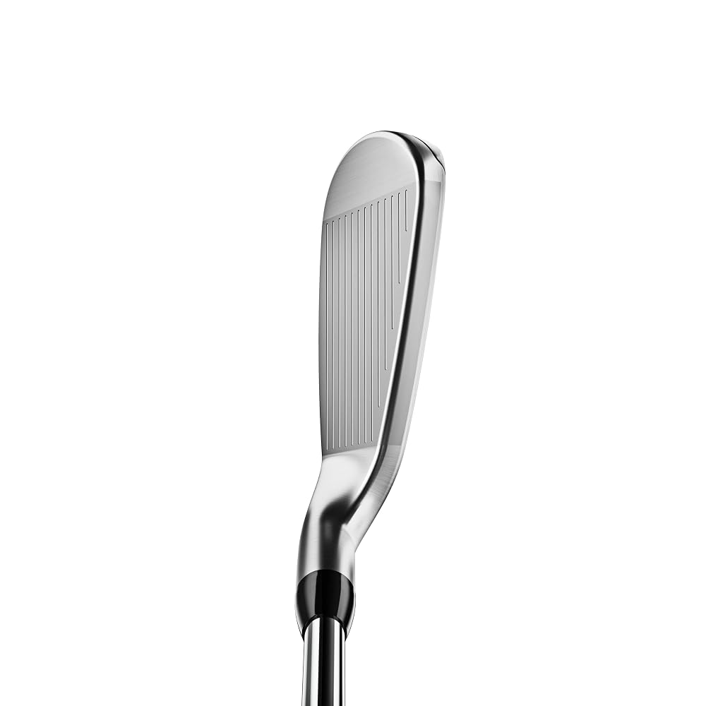 タイトリスト(TITLEIST) T400ii RH NS 880 AMC S 7W J シルバー