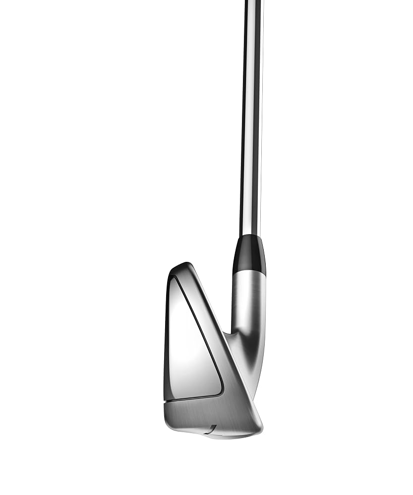 タイトリスト(TITLEIST) T400ii RH NS 880 AMC S 7W J シルバー