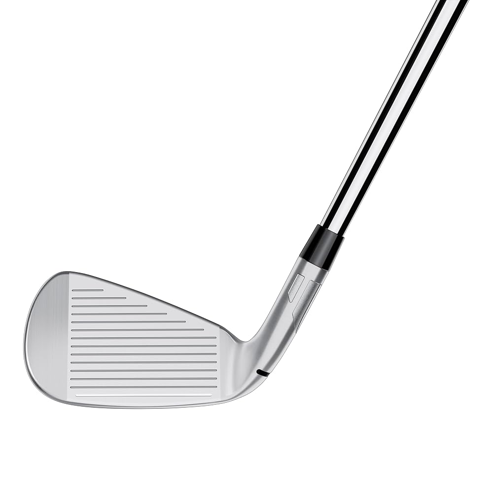 TAYLORMADE Qi アイアン 単品 SW N.S.PRO 820GH R 右用 メンズ