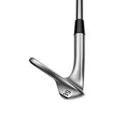 コブラ KING SB2 Vソール ウェッジ 56度 10° Dynamic Gold EX TOUR ISSUE メンズ 右用